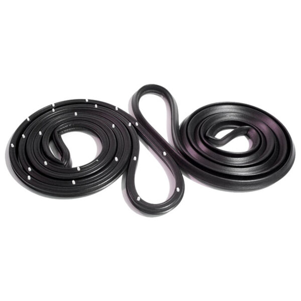 Door Weatherstrip 2dr Sedan (pr) 62-67 NV
